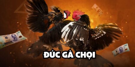 Đúc gà chọi