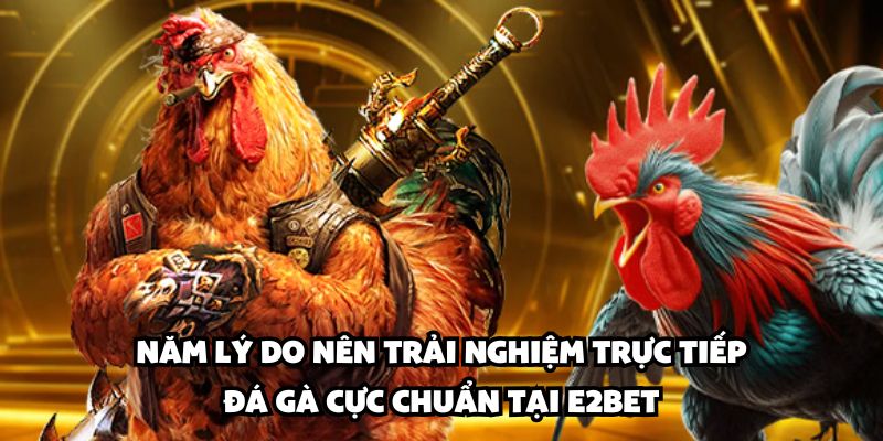Năm lý do nên trải nghiệm trực tiếp đá gà cực chuẩn tại E2BET
